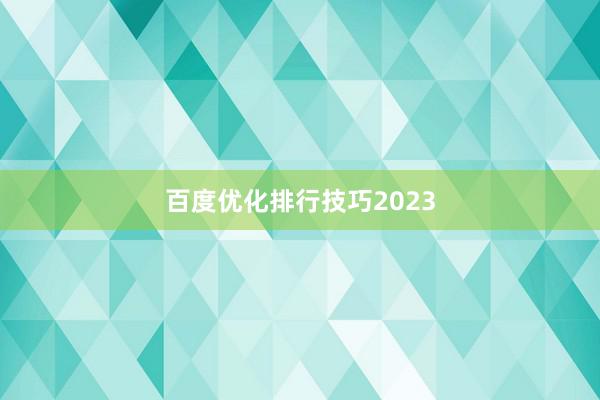 百度优化排行技巧2023