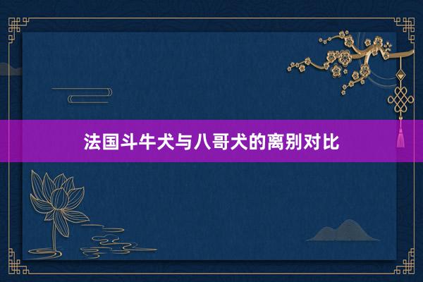 法国斗牛犬与八哥犬的离别对比